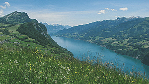 Ausssicht von einem Berg auf den See.