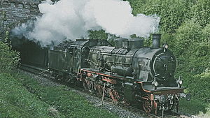 Schwarze Dampflokomotive der Sauschwänzlebahn fährt aus einem Tunnel, dichter weisser Rauch steigt auf, umgeben von grüner Vegetation.